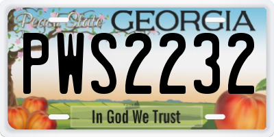 GA license plate PWS2232