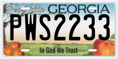 GA license plate PWS2233