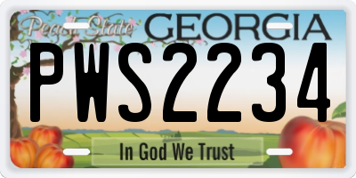 GA license plate PWS2234