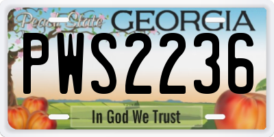 GA license plate PWS2236