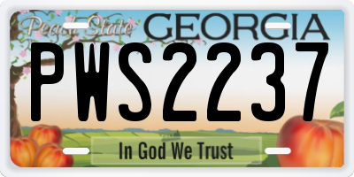 GA license plate PWS2237