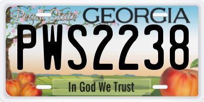 GA license plate PWS2238