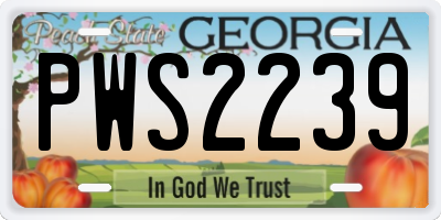 GA license plate PWS2239