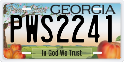 GA license plate PWS2241
