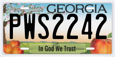 GA license plate PWS2242