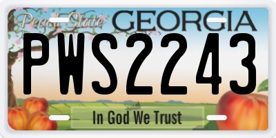 GA license plate PWS2243