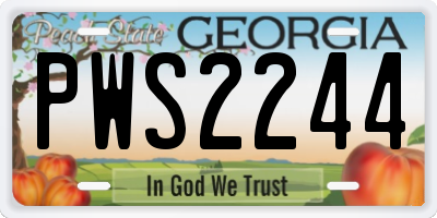 GA license plate PWS2244
