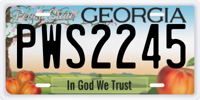 GA license plate PWS2245