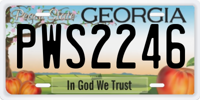 GA license plate PWS2246