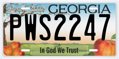 GA license plate PWS2247