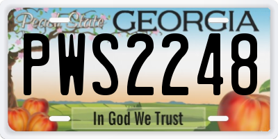 GA license plate PWS2248