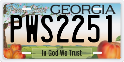 GA license plate PWS2251