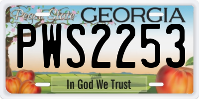 GA license plate PWS2253