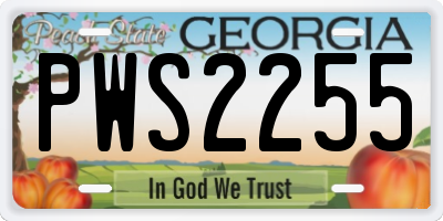 GA license plate PWS2255