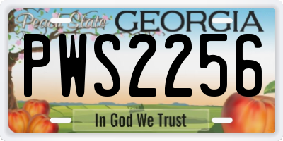 GA license plate PWS2256