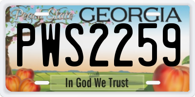 GA license plate PWS2259