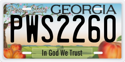 GA license plate PWS2260