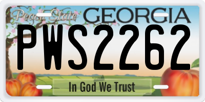 GA license plate PWS2262