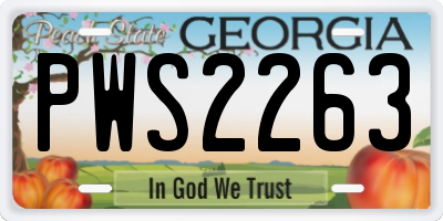 GA license plate PWS2263