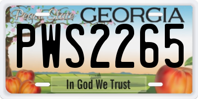 GA license plate PWS2265