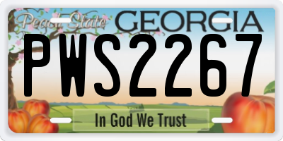 GA license plate PWS2267