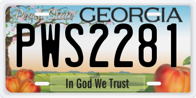 GA license plate PWS2281