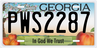 GA license plate PWS2287