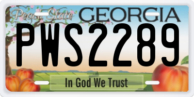 GA license plate PWS2289