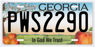 GA license plate PWS2290