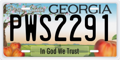 GA license plate PWS2291