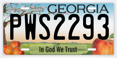 GA license plate PWS2293