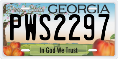 GA license plate PWS2297
