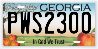 GA license plate PWS2300