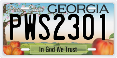 GA license plate PWS2301