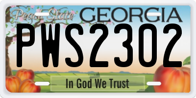 GA license plate PWS2302