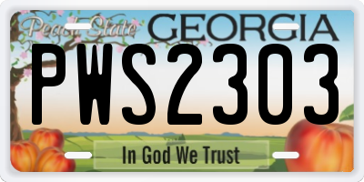 GA license plate PWS2303