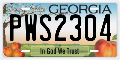 GA license plate PWS2304