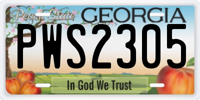 GA license plate PWS2305