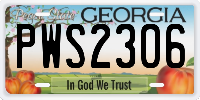 GA license plate PWS2306