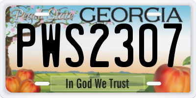GA license plate PWS2307