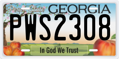 GA license plate PWS2308