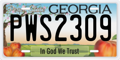 GA license plate PWS2309