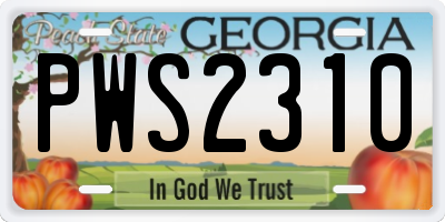 GA license plate PWS2310