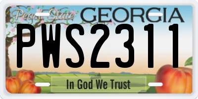 GA license plate PWS2311