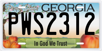 GA license plate PWS2312