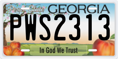 GA license plate PWS2313