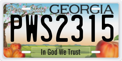 GA license plate PWS2315