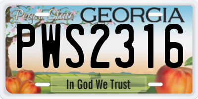 GA license plate PWS2316