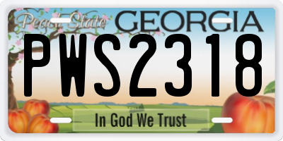 GA license plate PWS2318