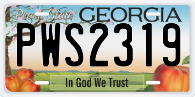 GA license plate PWS2319
